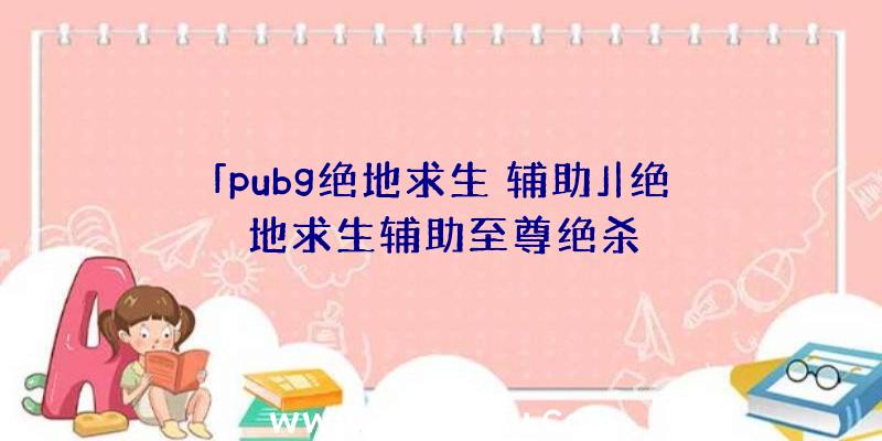 「pubg绝地求生